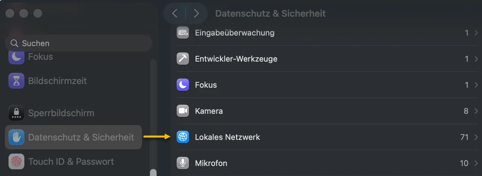 Platzhalter: Systemeinstellungen → Datenschutz & Sicherheit → Lokales Netzwerk